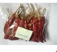 Red Chilli Dried