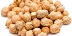Kabuli Chickpeas