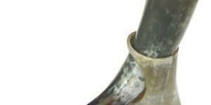 Viking Drinking Horn with Stand