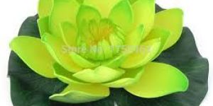 Green Lotus Flower