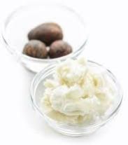 Refined Shea Butter