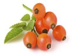 Rosehip Seed Oil