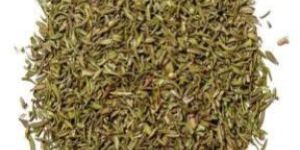 Thyme Oil