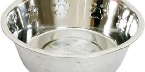 Wall Embossed Feeding Dishes