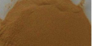 Valerian Extract Powder