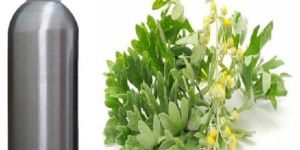 Wormwood Essential Oil