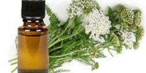 Yara Yara Essential Oil