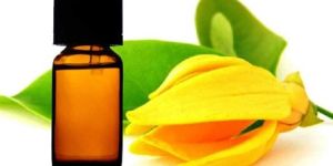 Ylang Ylang Essential Oil