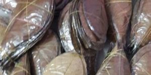 INDIAN ALMOND LEAVES