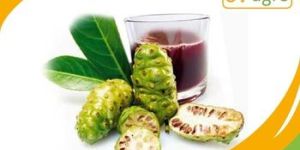 Curcuma Longa Extract