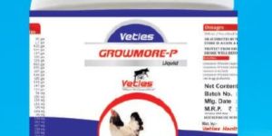 Poultry Feed Supplements