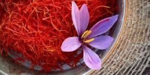 Saffron