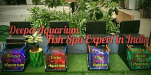 Fish Spa Setup International Standard Total 4 Tanks.