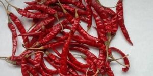 Teja Dried Red Chilli