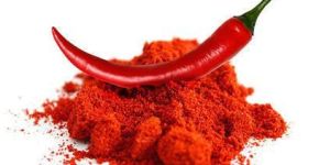 Teja Red Chilli Powder