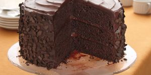 Egg Choco Delight Cake Premix