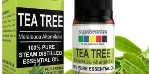 Tea Tree Melaleuca Alternifolia Essential Oil