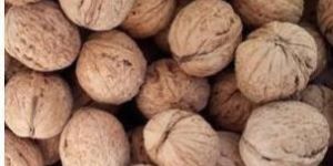 Kashmiri Shell Walnuts