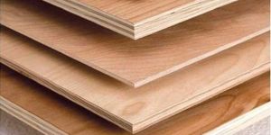 Wooden Plywood