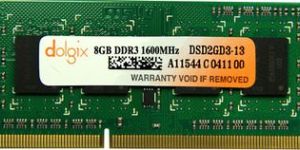 Dolgix Laptop DDR3 8 GB 1600MHz PC3-12800 Memory Module