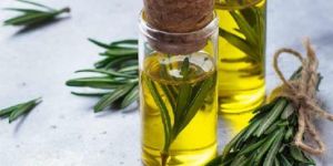 Rosemary Oil