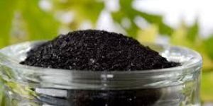Humic Acid Fertilizer