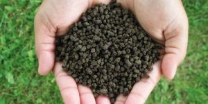 Phosphate Rich Organic Manure