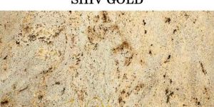 Shiv Gold Granite