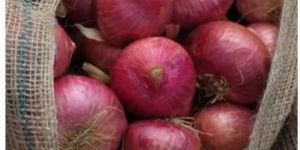 Natural Red Onion