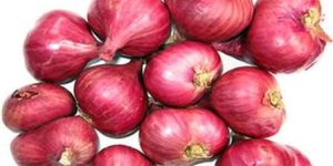 Small Red Onion