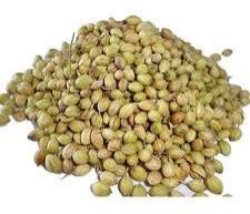 Coriander Seed