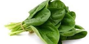 Fresh Spinach
