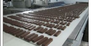 Industrial Food Grade Conveyor Belt