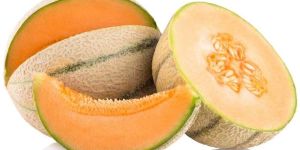 Fresh Muskmelon