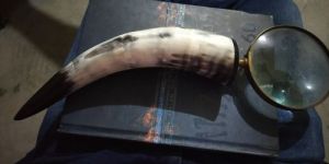 Horn and Bone Magnifying Glass