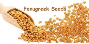 Fenugreek Seed