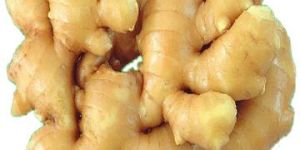 Fresh Ginger
