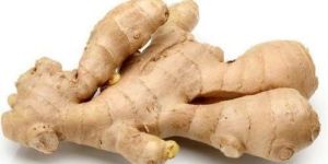 Fresh Ginger