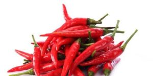 Fresh Red Chili