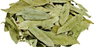 Senna Leaves