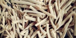 Shatavari Roots