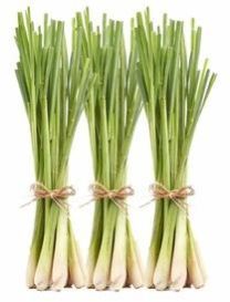 Organic Ginger Grass Oil