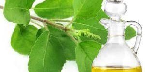Premium Tulsi Oil