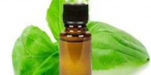 Pure Tulsi Oil