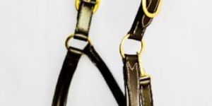 Horse Halters