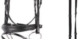 Stylish Horse Bridle