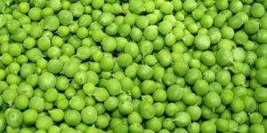 Organic Green Peas