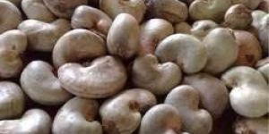 Whole Raw Cashew Nuts