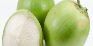 Organic Tender Coconut