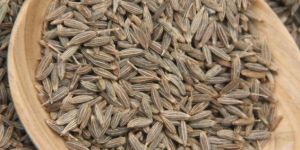 Pure Cumin Seeds
